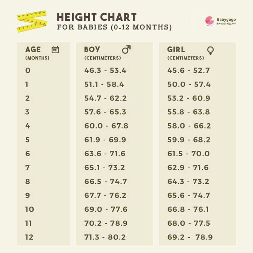 Featured image of post View 13 22 Month Old Baby Boy Height