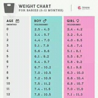 Featured image of post The Best 15 22 Month Old Baby Boy Weight In Kg