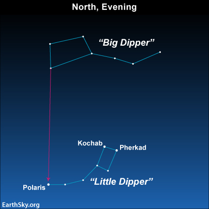 Featured image of post The Best 14 Big And Little Dipper