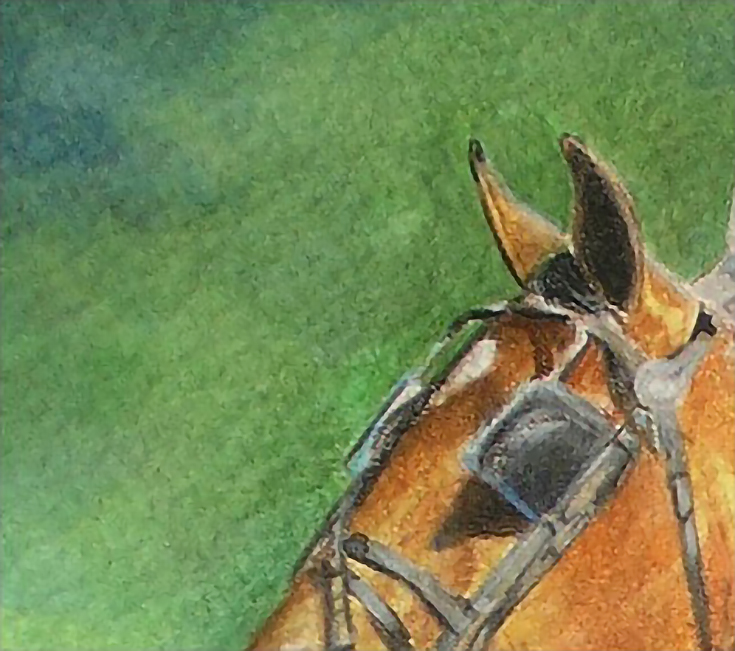 Featured image of post The Best 5 Colored Pencil On Watercolor Paper