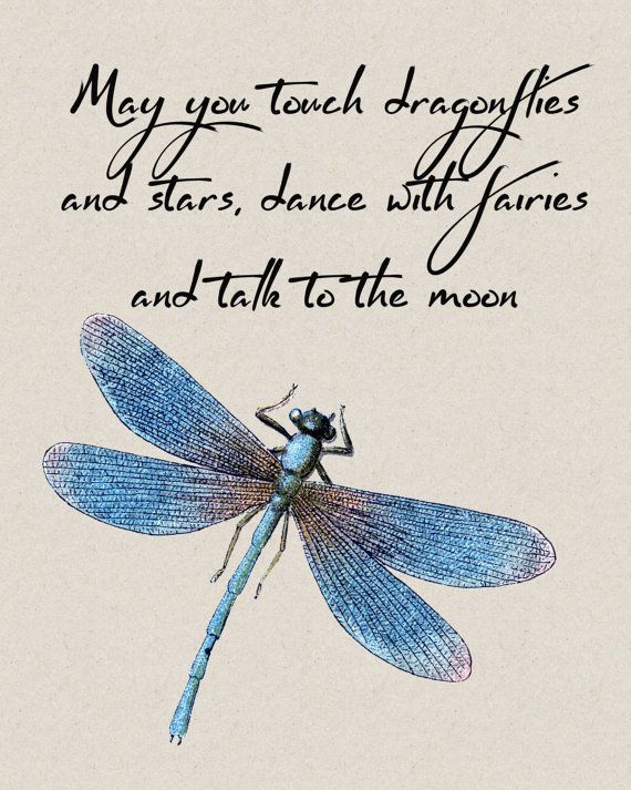 Featured image of post The Best 13 Dragonfly Sayings And Quotes