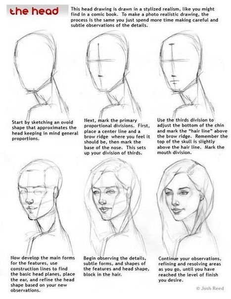 Featured image of post The Best 9 Face Reference Drawing Lines