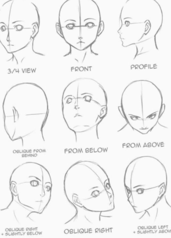 Featured image of post View 7 Front Face Reference Anime