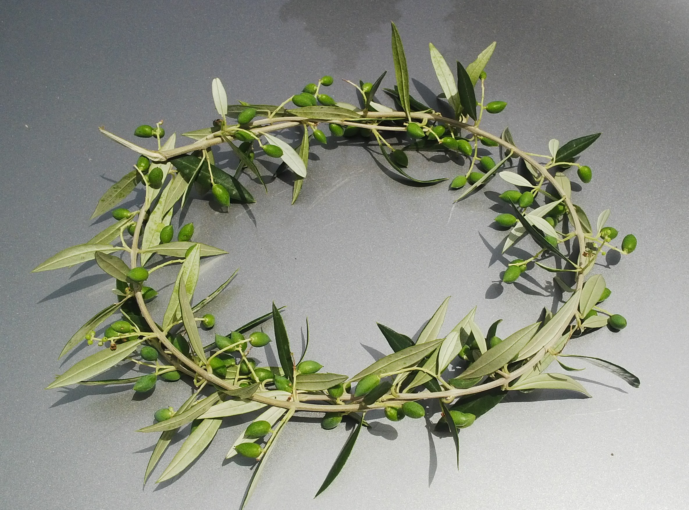 Featured image of post View 11 Greek Olive Wreath Crown