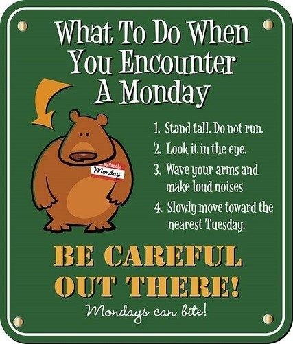 Featured image of post The Best 6 Happy Monday Funny Quotes For Work