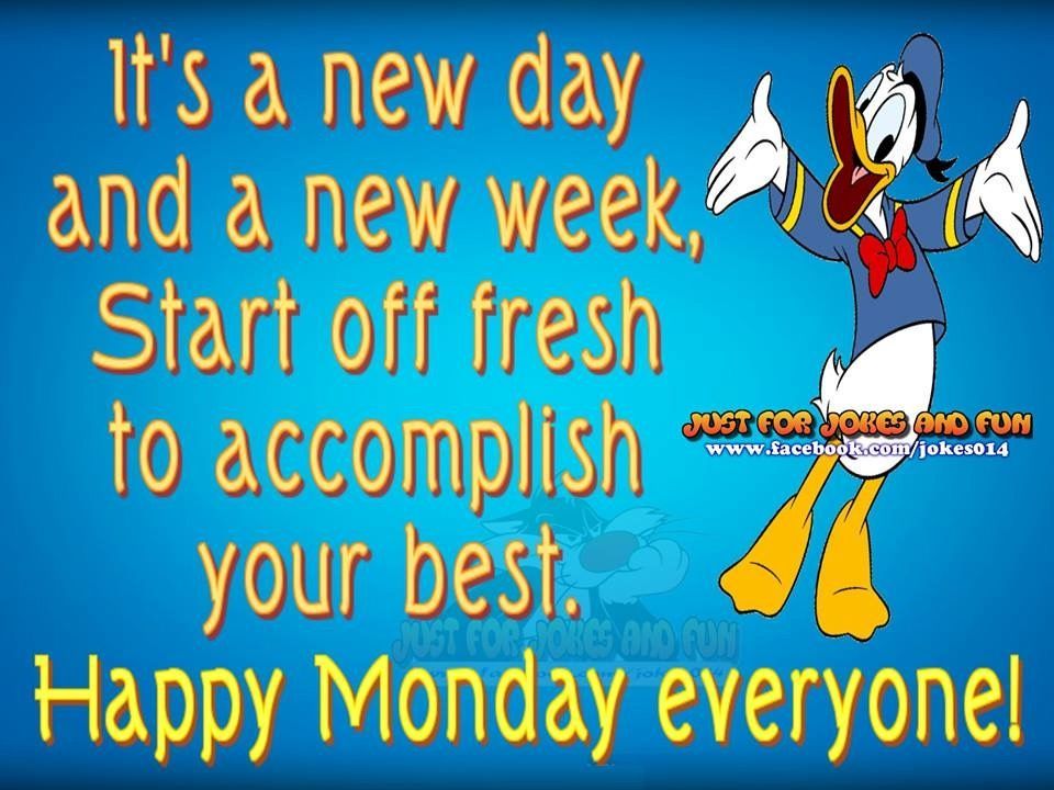 Featured image of post The Best 12 Happy Monday New Week Quotes Funny