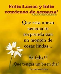 Featured image of post The Best 5 Happy Monday Quotes In Spanish