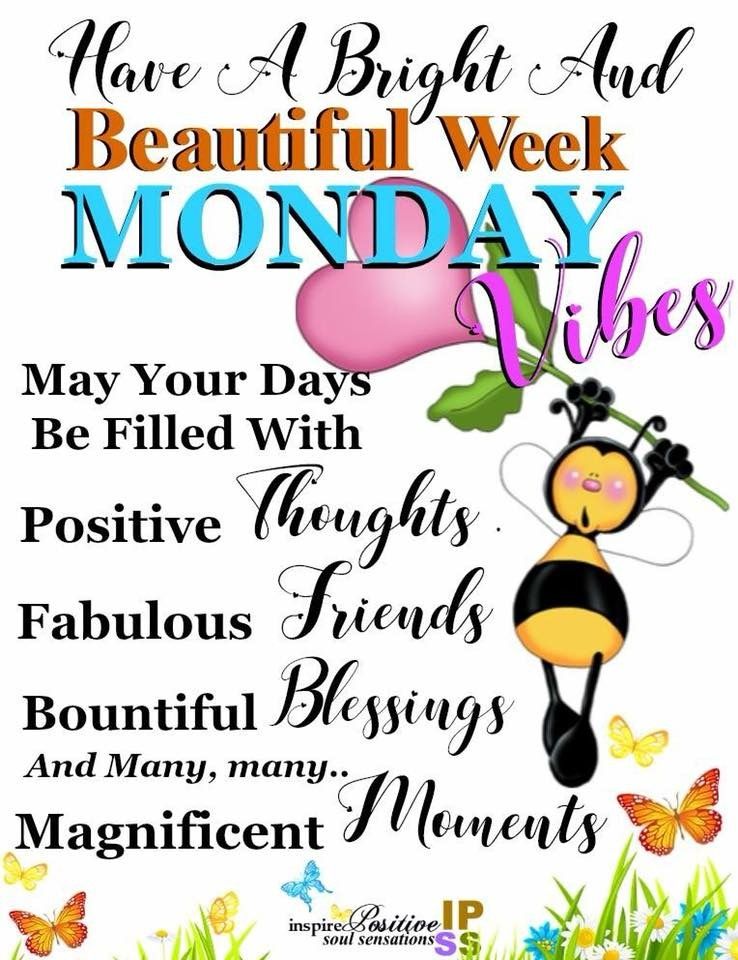 Featured image of post The Best 13 Happy Monday Quotes Positive Good Morning New Week