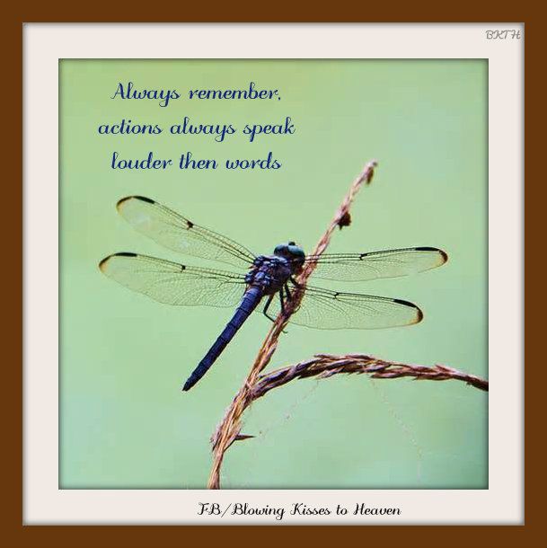 Featured image of post The Best 10 Meaning Dragonfly Sayings