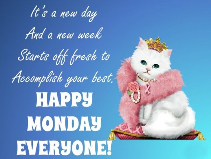 Featured image of post The Best 12 Monday Motivation Quotes Happy Monday Funny