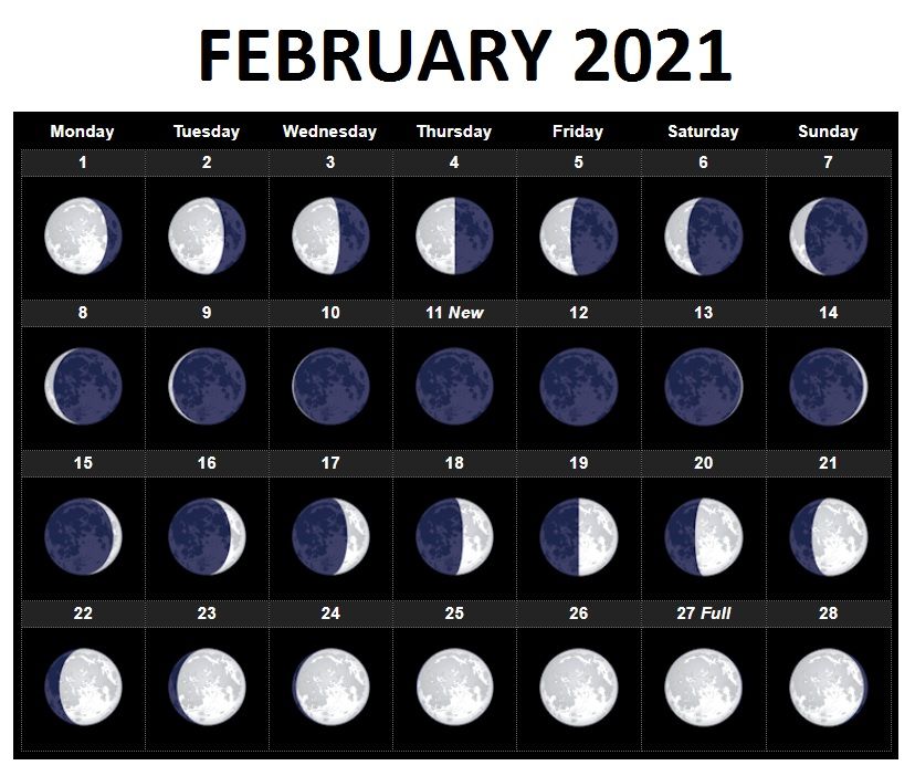 Featured image of post View 13 New Moon Pictures 2021