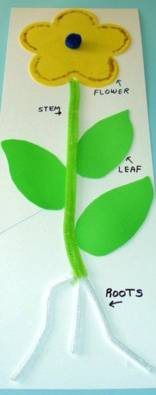 Featured image of post The Best 10 Plant Artwork For Kids