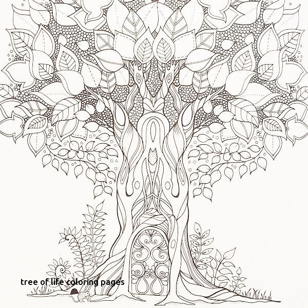pix Printable Tree Of Life Coloring Pages For Adults tree of life coloring pages coloring home