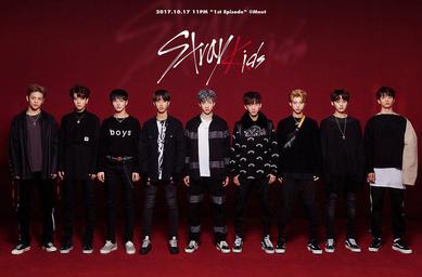 Featured image of post View 14 Stray Kids Reality Show