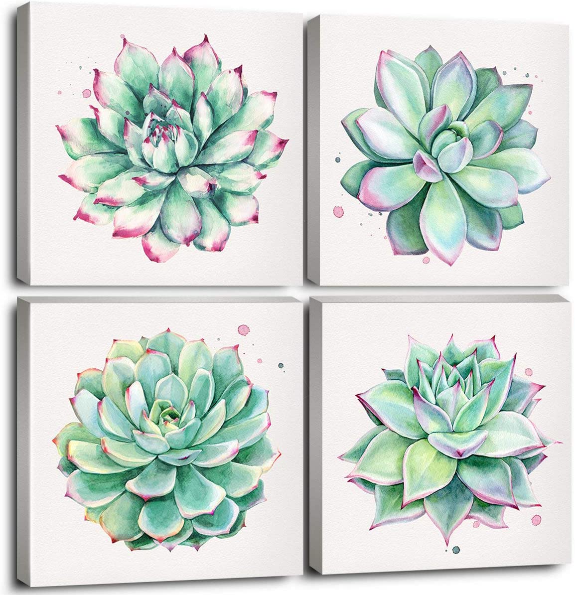 Featured image of post View 11 Succulent Plant Artwork